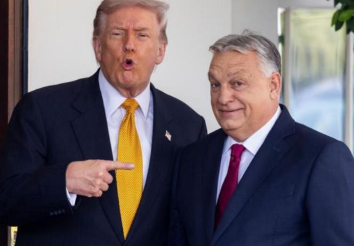 法德跨年夜爆发大规模暴力事件，瑞士酒吧新年爆炸，300万葡萄牙工人大罢工，意大利