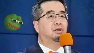 台海这一池春水，刚冒点风头又荡起波澜。2025年11月，国民党副主席萧旭岑一句“