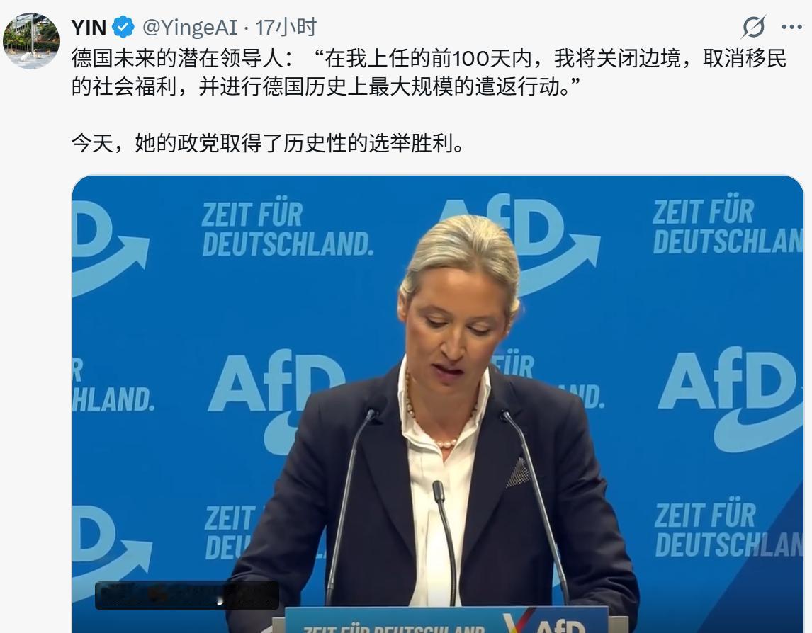 德国魏德尔：在我上任的前100天内，我将关闭边境，取消移民的社会福利，并进行德国