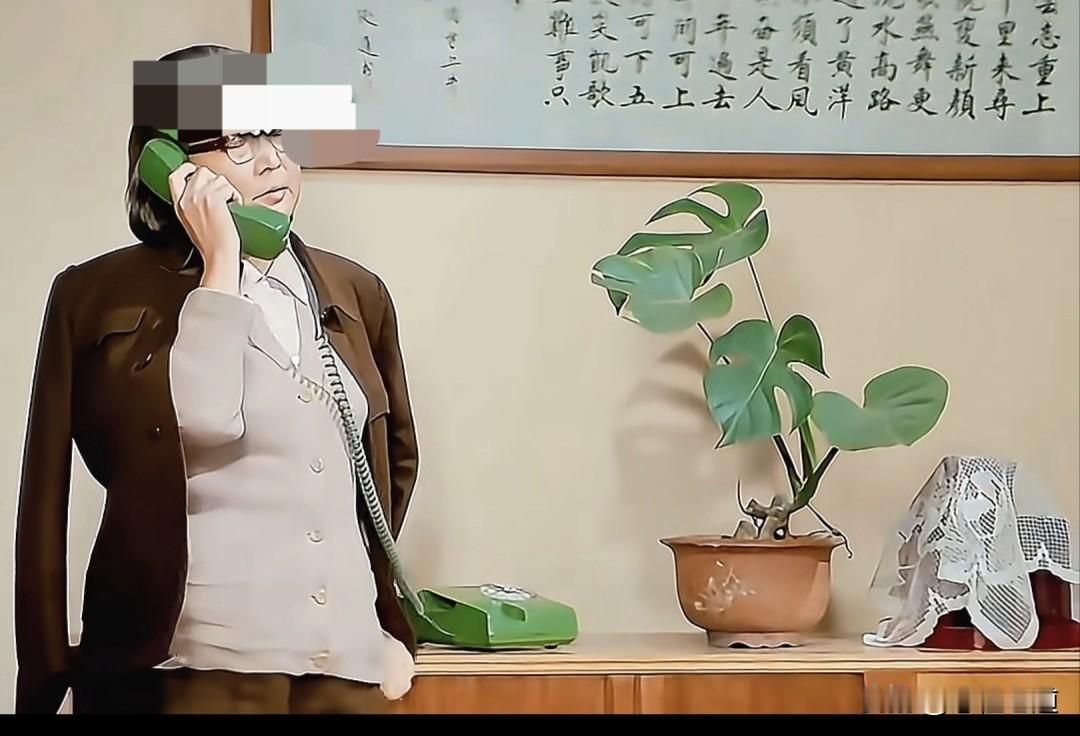 《高山下的花环》赵蒙生母亲打电话时，镜头可以看到墙上挂着伟人的亲笔诗词。你就能知