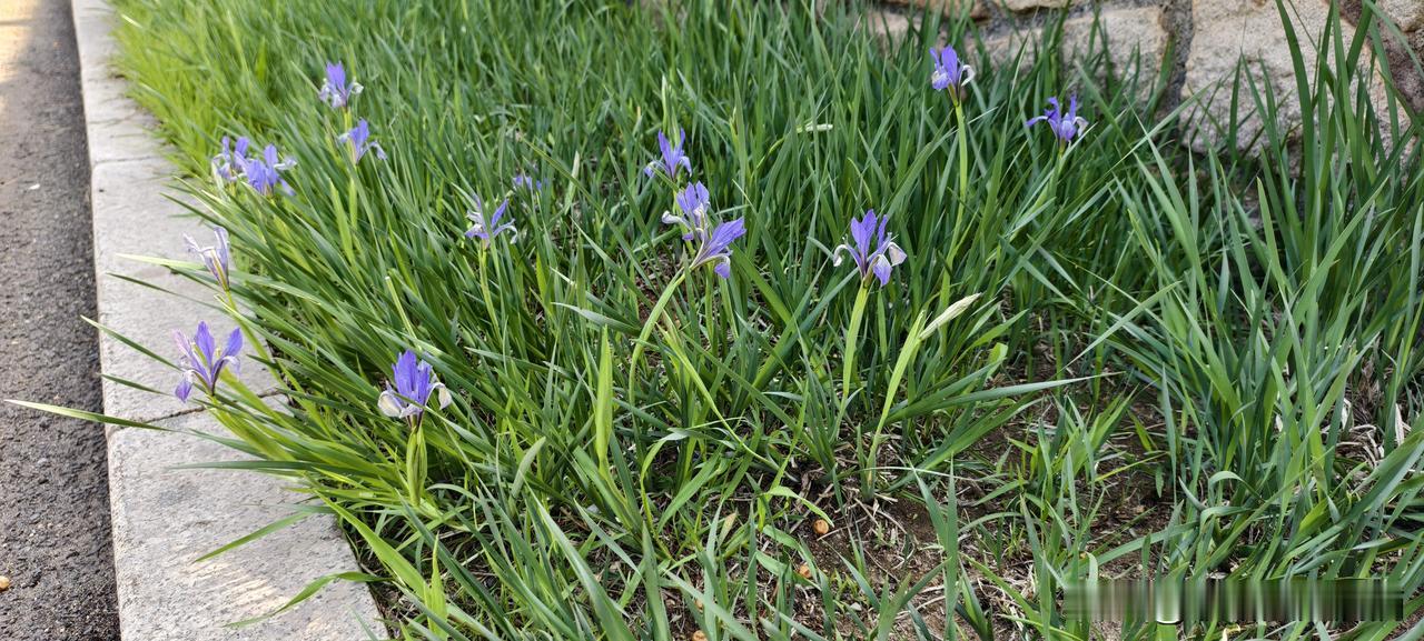 同事还在抱怨公司不行，我已经悄悄准备了三个月，然后跳槽涨薪50%去年年底，公