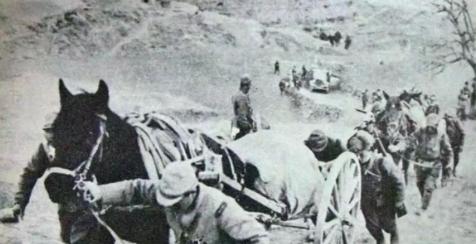 抗战胜利后，七万多匹日本军马成了烫手山芋！这些曾经在战场上嘶鸣的大家伙，突然没了