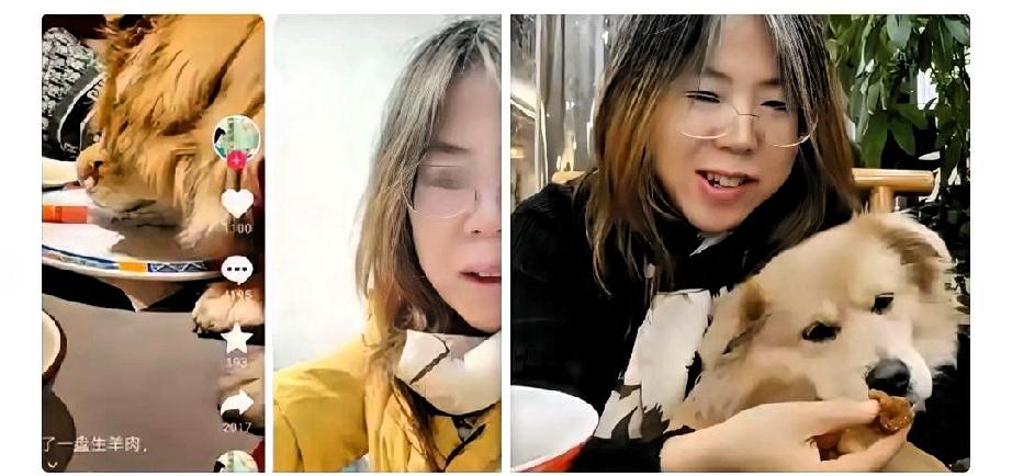 宠物权绝不能等同甚或凌驾于人权北京女子让宠物狗在涮肉店同桌进餐，之所以闹得沸