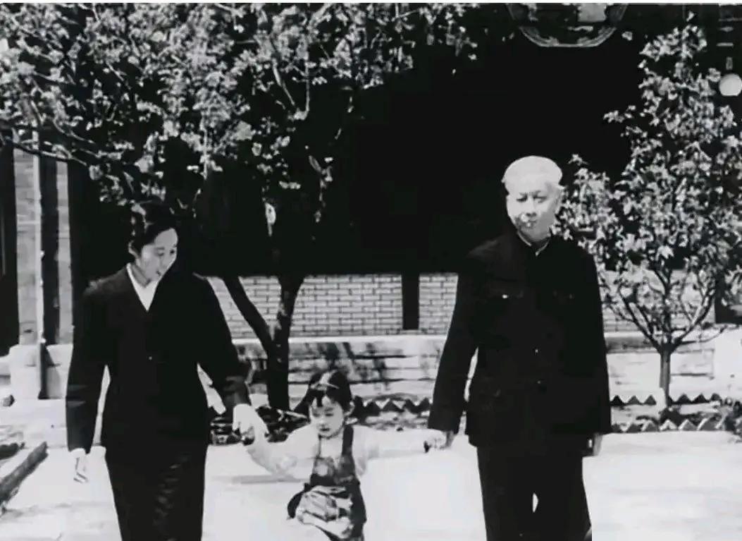 1966年夏，中南海的珍贵时光1966年夏天，中南海内绿树成荫，刘少奇和王光美