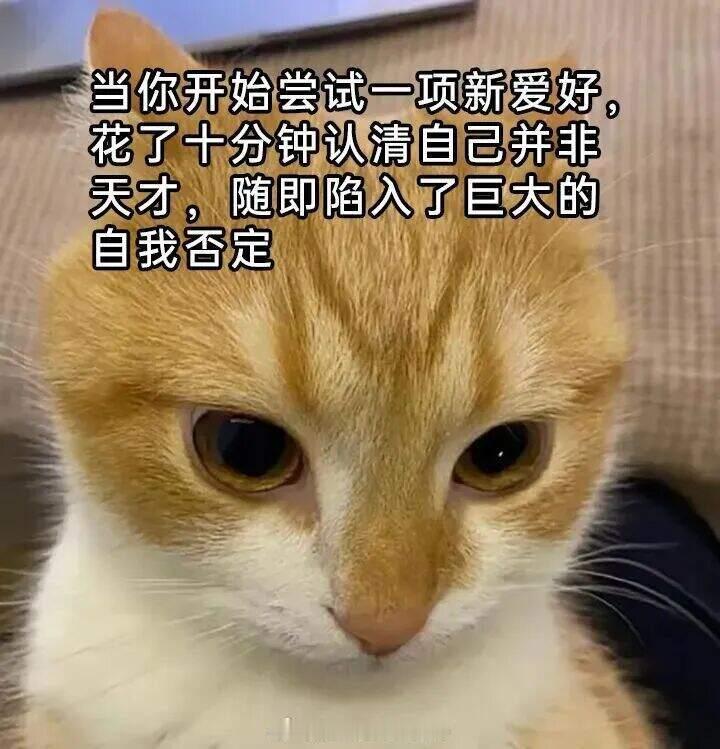 网友投稿图片选集​​​