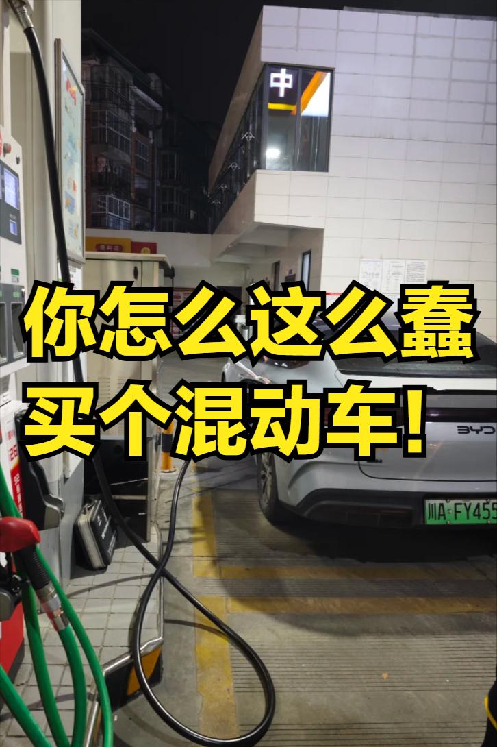 你怎么这么蠢，竟然买个混动车，燃油和纯电两套系统都要保养，不麻烦吗？而且还大大增