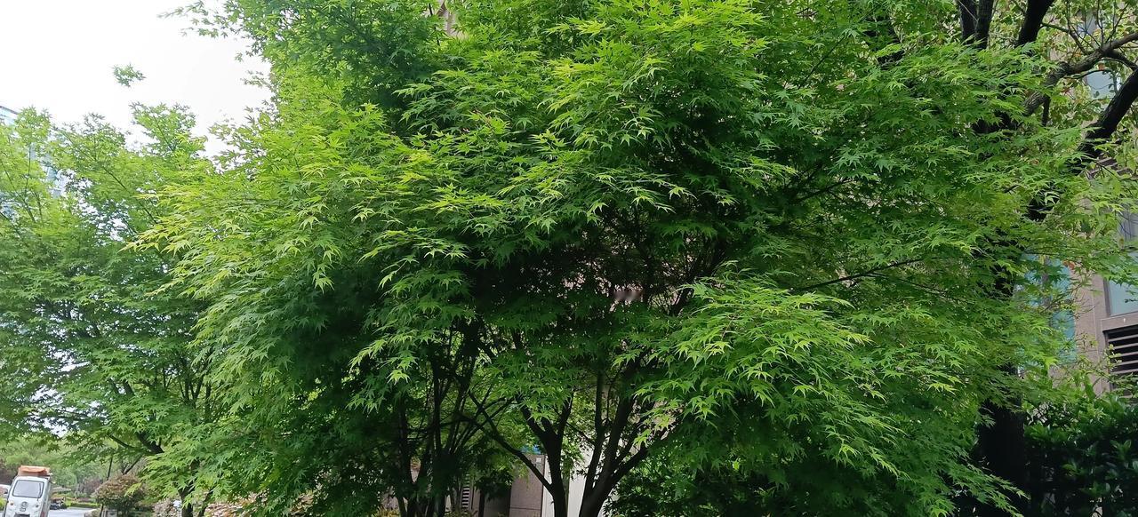 登基后,朱标子女下场如何? 朱棣登基后，朱标一脉男丁几乎无一人善