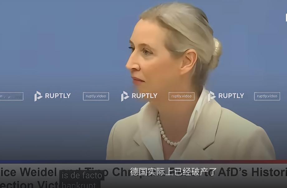 近日德国选择党联合主席魏德尔把话说得很重。9月7日联邦议院预算辩论中，她称德国“