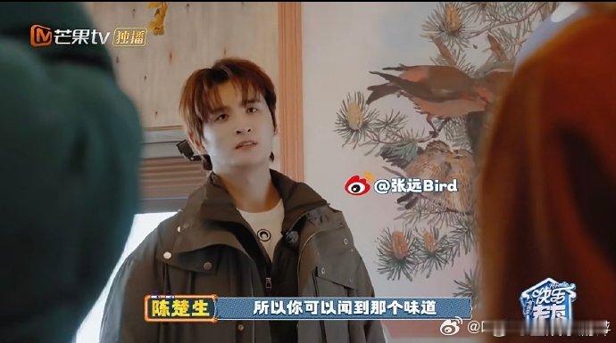 张远的远房亲戚都可以来住了快乐老友记张远的远房也太有设计感了，自然的装饰超有味道