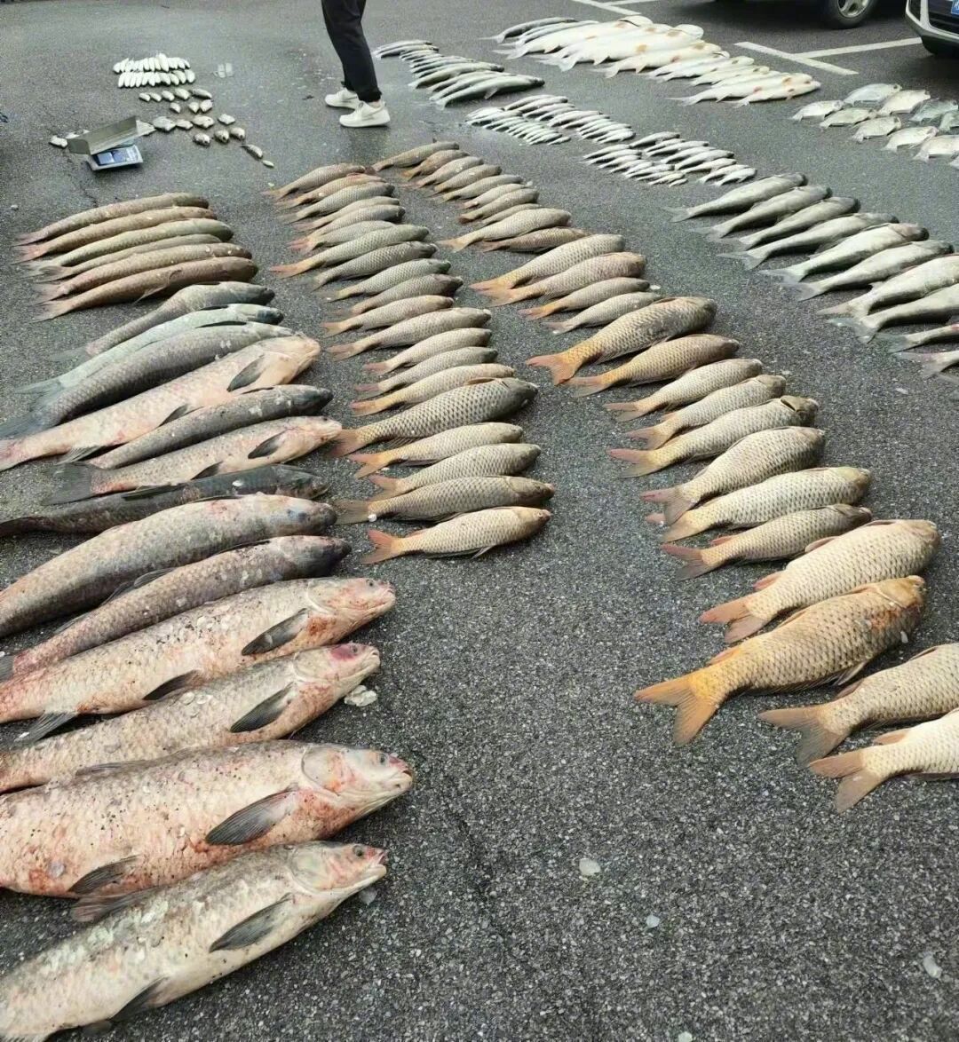 湘江“电捕狂魔”覆灭记|今晚九点半