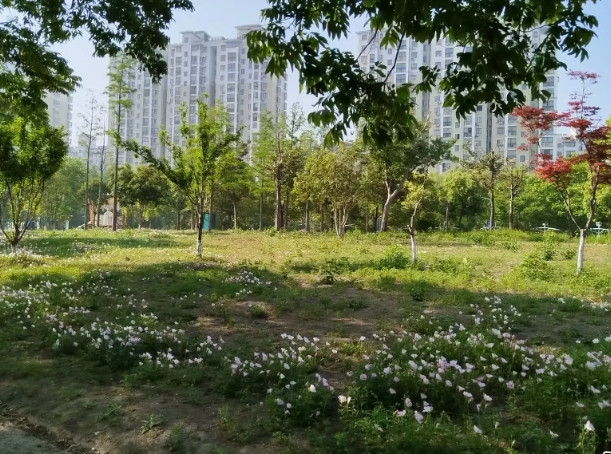 老年人二婚水深的很，我们老家有个60岁丧偶妇女，想找个搭伙过日子的，对男方提出的