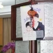 无处不在的莎莎大头