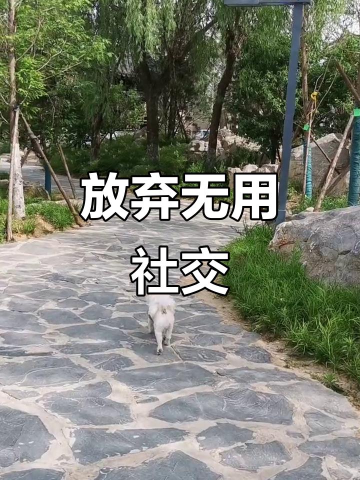 人要不要讲人情世故？当然要讲！在中国这种生态体系中，极端的个人主义、自私主义