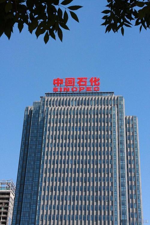 中石化叫SINOPEC，移动却用CHINA？SINO不是“支那”，真相藏着文化底