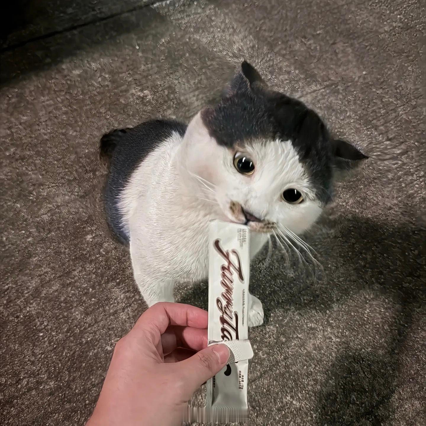 在现实生活中遇到真的小八了