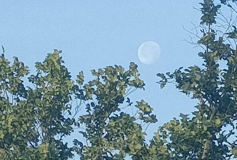 日月同天，乌鲁木齐吉相惊现！时间是2025年6月14日，早晨7:10左右，我在