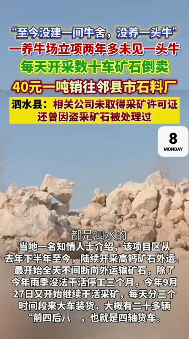 网传泗水一养牛场搞了两年多，没见过一头牛！每天倒腾大量石料出来卖！被人举报了！奶