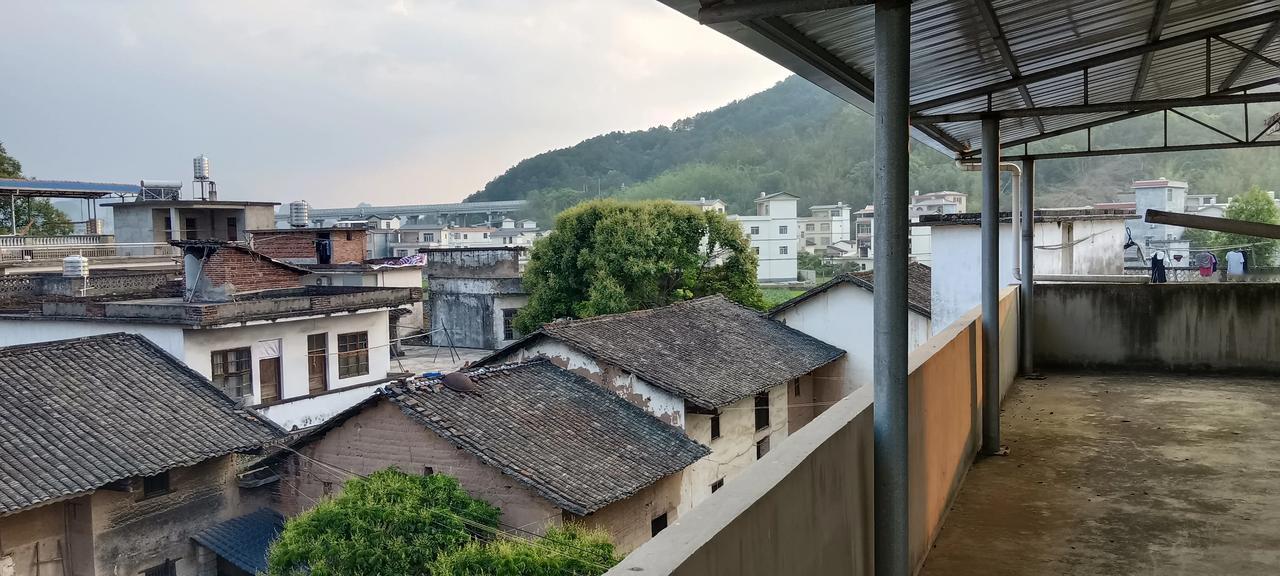 希望的田野，回家搭棚子种田搞果子吃