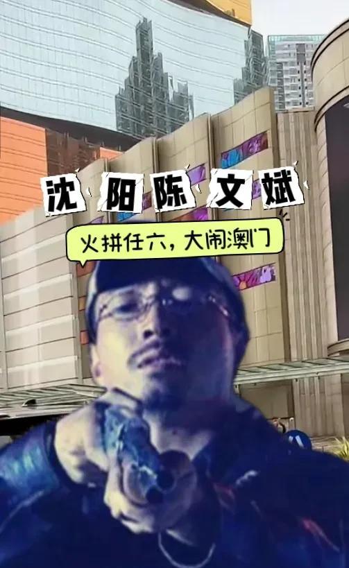 沈阳最能打的狠角色陈文斌，2006年落网时，身上背负着多起命案。陈文斌凶