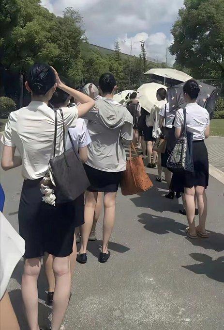大夏天顶着烈日扎堆排队面试空姐，难怪网友疑惑这个行业常年爆满。说到底抢手的