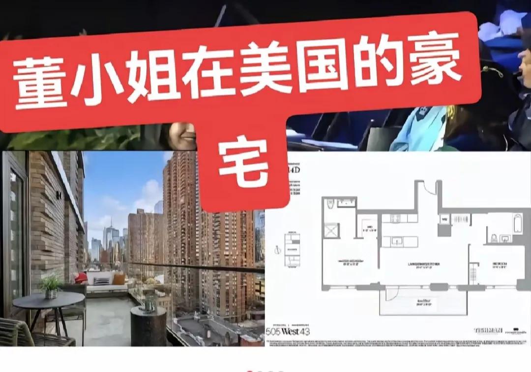 董袭莹在美国曼哈顿有房子，一套价值1200万的豪华公寓。原本以为网友们说的是假