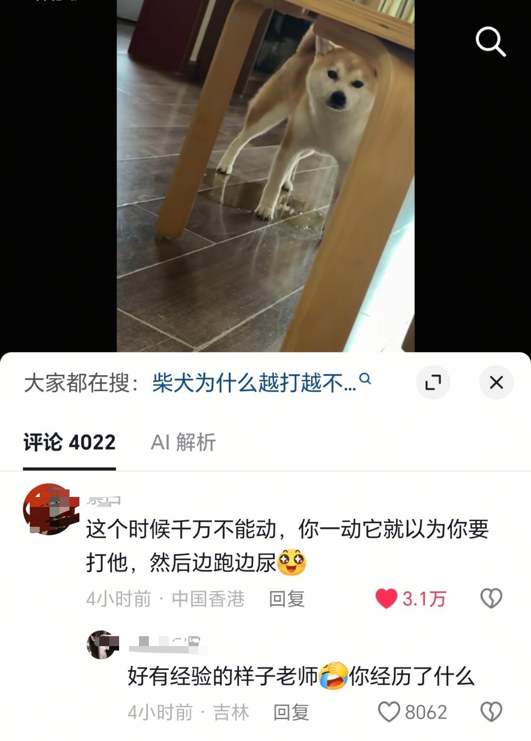 说出你的故事[doge]​​​