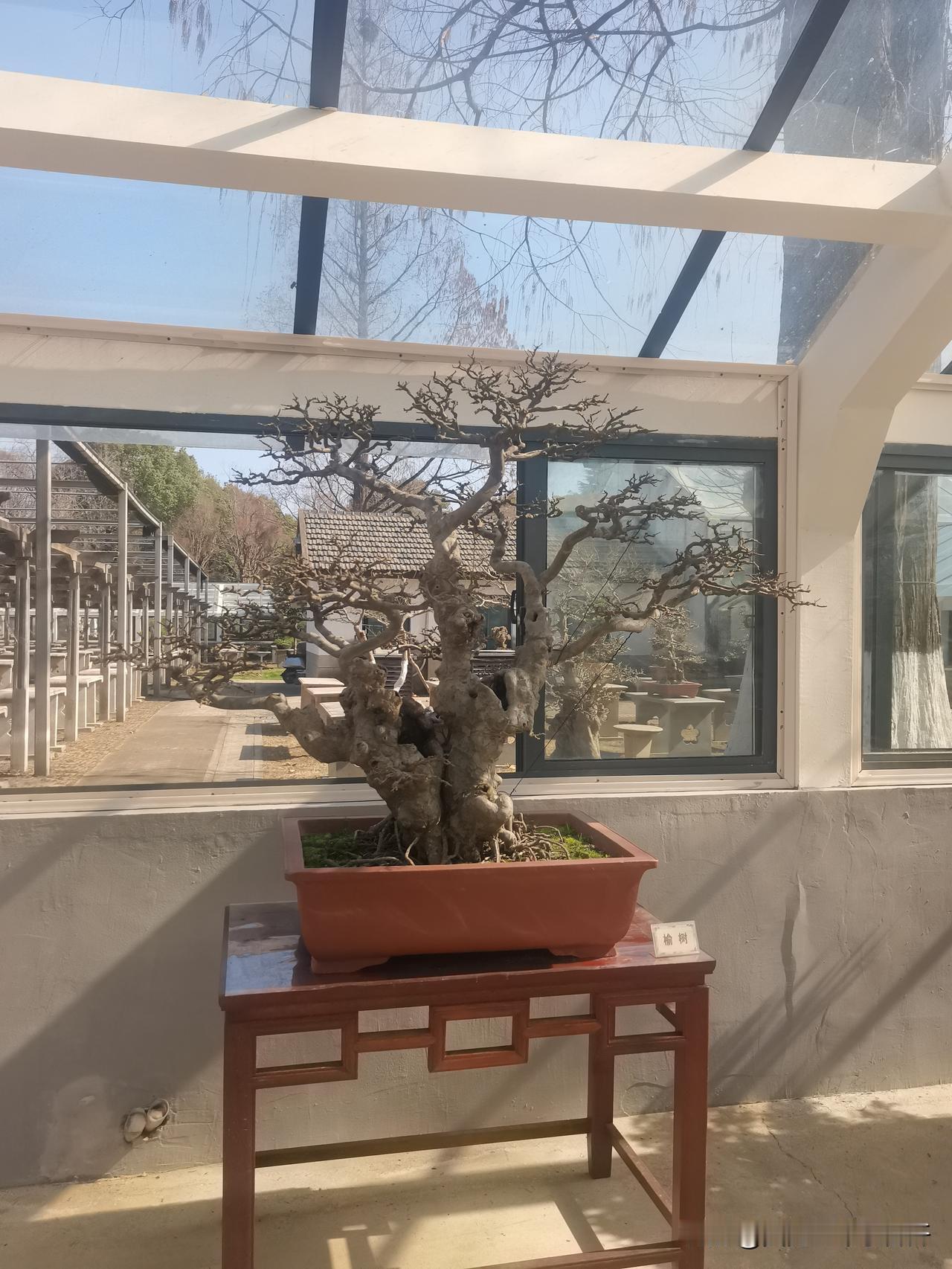 退休以后最大的感触就是一年一年过的太快了年过完了，随之而来的是二月份也快过去