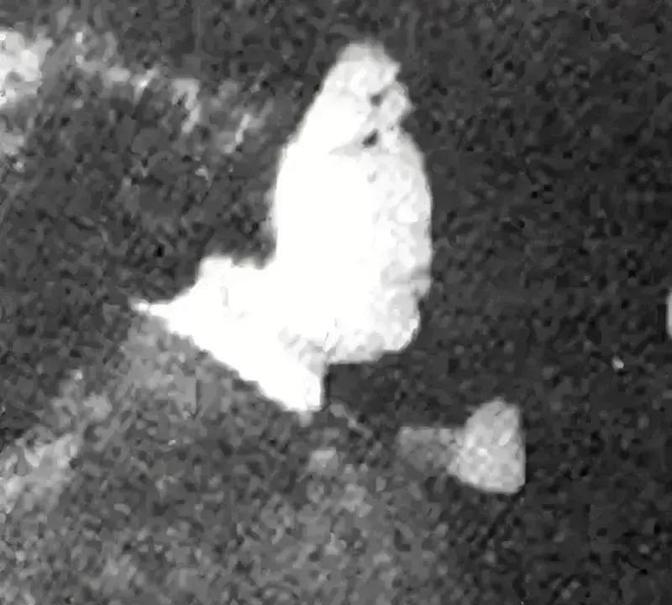 1976年10月，曾经名噪一时的风云人物王秀珍，突然在一夜之间销声匿迹，外界对她