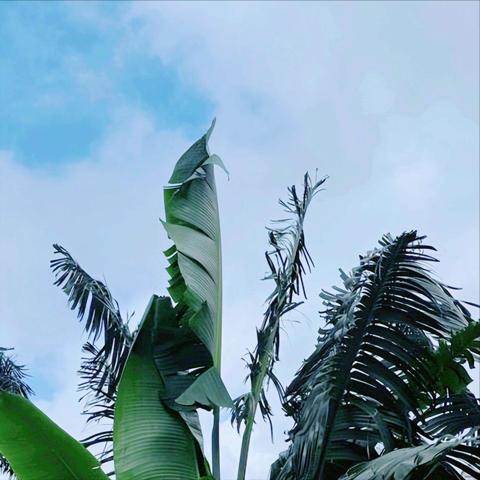 时隔4日  辽宁：再次通报党纪政务处分3人 12月23日18:50，该省：