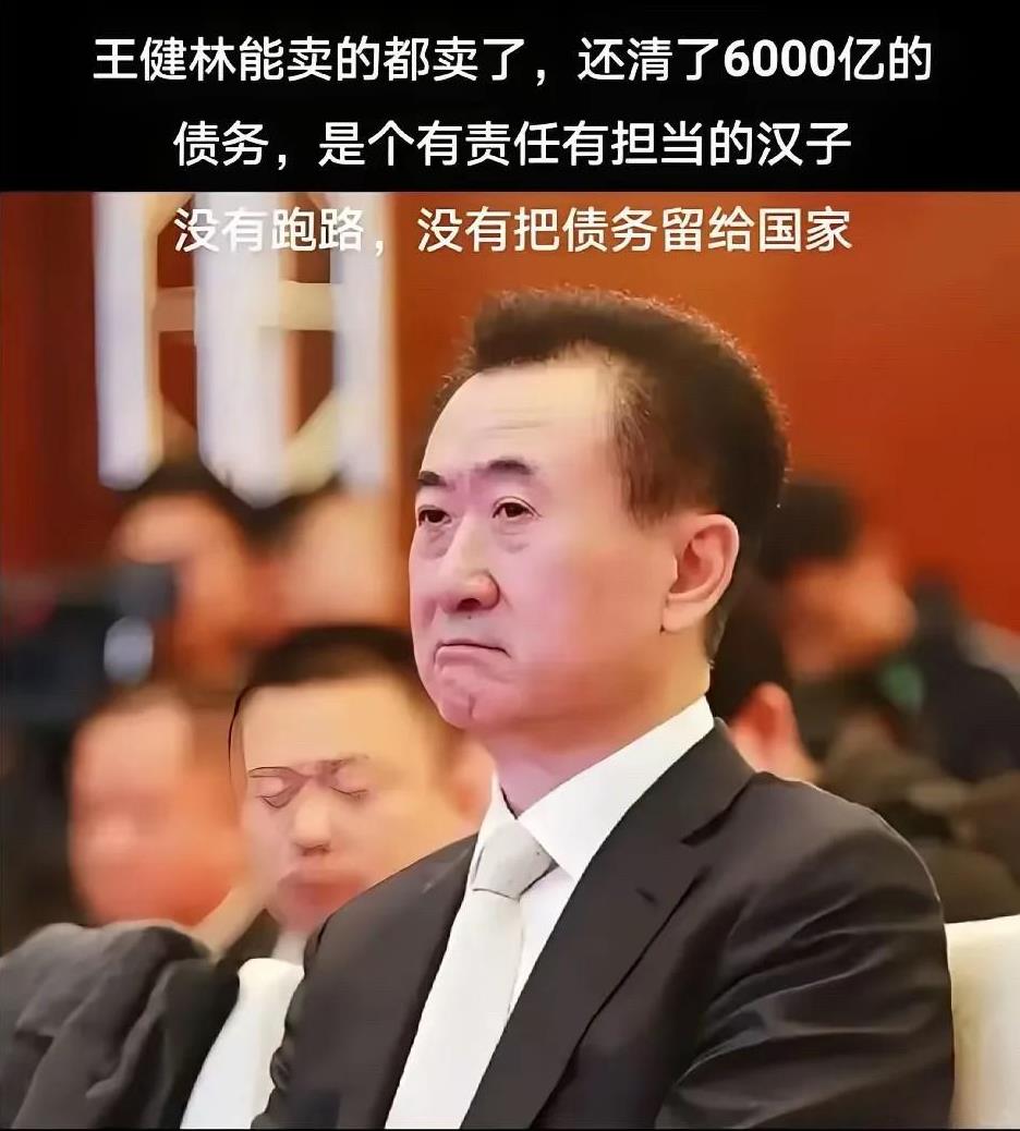 大家快别同情王健林了，他根本不需要同情！查了一下才知道，6000亿的债务，他