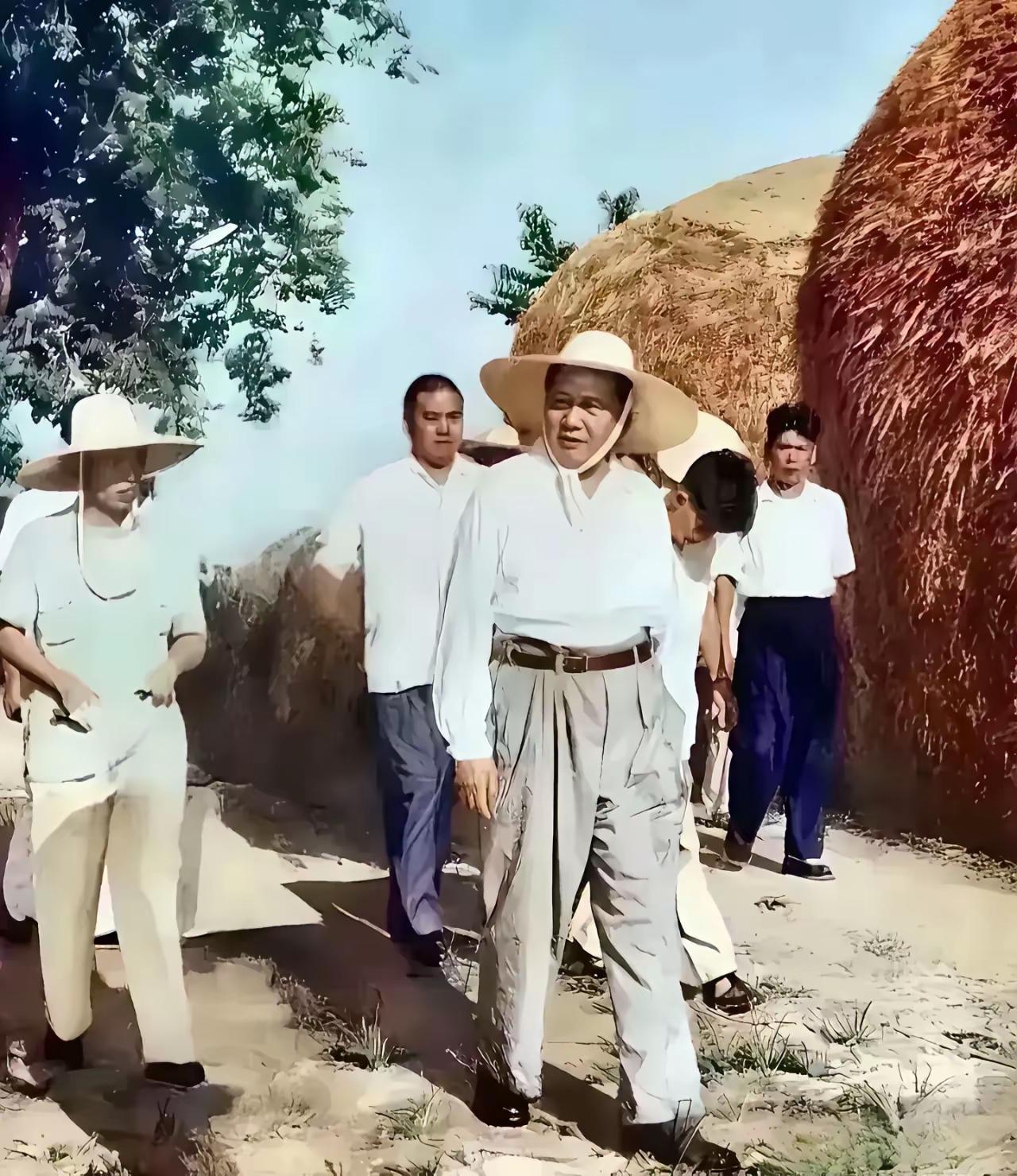 没有调查就没有发言权。说农民丰收了，是真丰收，还是假丰收？那时，毛主席要亲自到庄