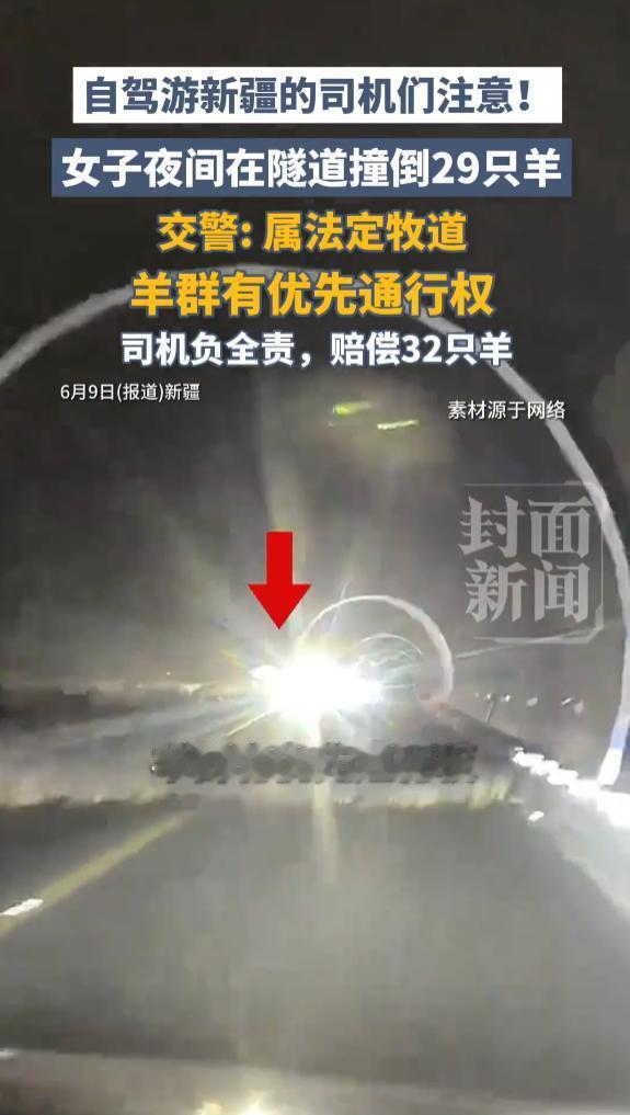 “太离谱了！”6月9日报道，新疆，一女子开车进隧道，不小心撞上了牧民的羊群，造成