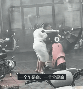 这真是舍命不舍财！12号台风“红霞”登录广东，两女子在狂风中止步不前，站都站不