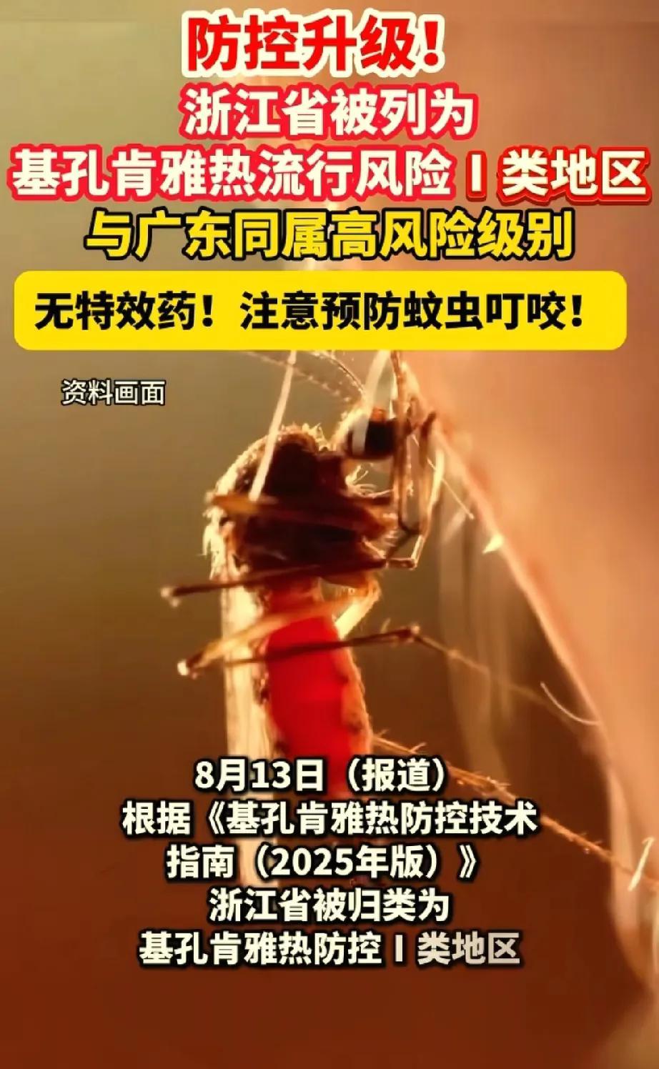 完了!蚊子要迎来灭顶之灾了!从一开始的广东佛山，到现在的几乎全国各个地方都会有