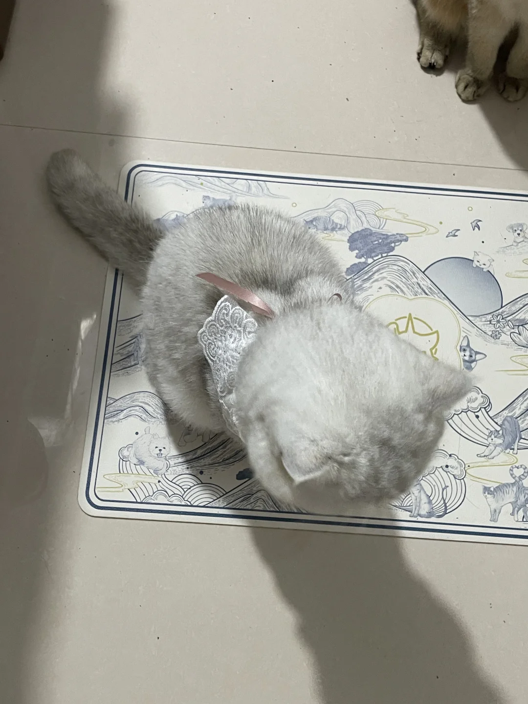 一只～