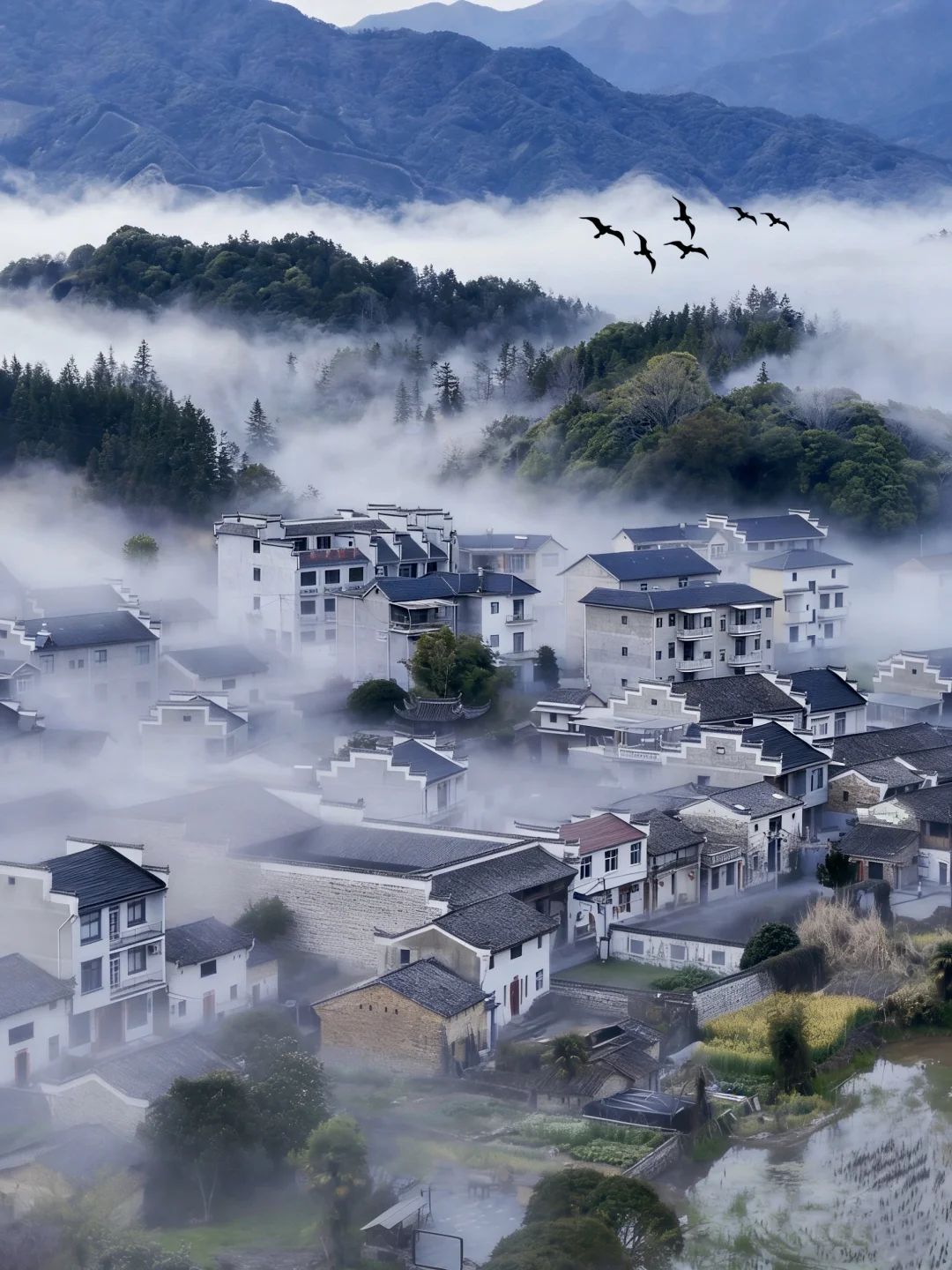 以为黄山够惊艳了，直到我去了这里…