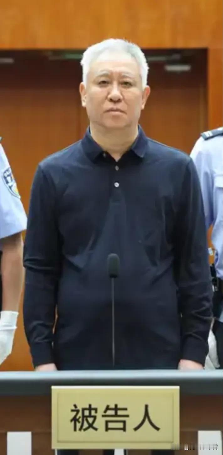 许家印判的是无期徒刑，将来会有减刑提前出狱的可能性吗？如今罚多少钱也难以弥补他所