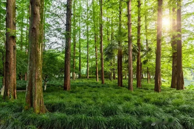 截至2025年1月，在柳州，达到5A标准的景区仅有程阳八寨景区，要注意的是，它并
