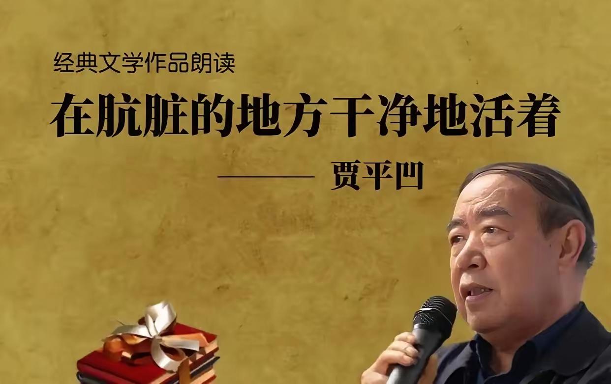 贾平凹的这部作品艺术成分很高！四层楼那么高，《在肮脏的地方干净地活着》，看作品的