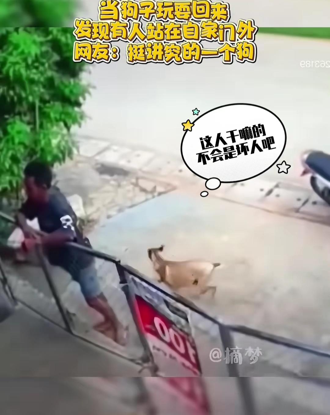 狗狗出门遛弯回来，突然看见自家门前站着一个人，心想，这个人我也不认识呀，他想要干