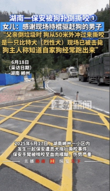 “直接击毙！”湖南，一小区保安像往常一样出去倒垃圾，岂料！被突然冲出的大狗扑倒在