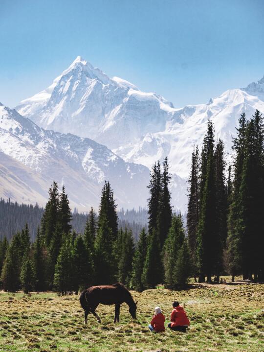 夏塔在伊犁的夏天，无可替代🏔️