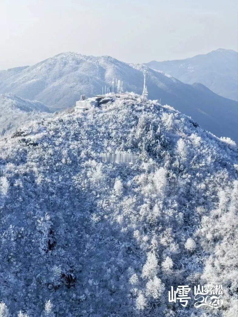 昨天雪飘绍兴，今天梅花盛开绍兴街头。（图1图2是昨天绍兴最高峰西白山雪景｛图片来
