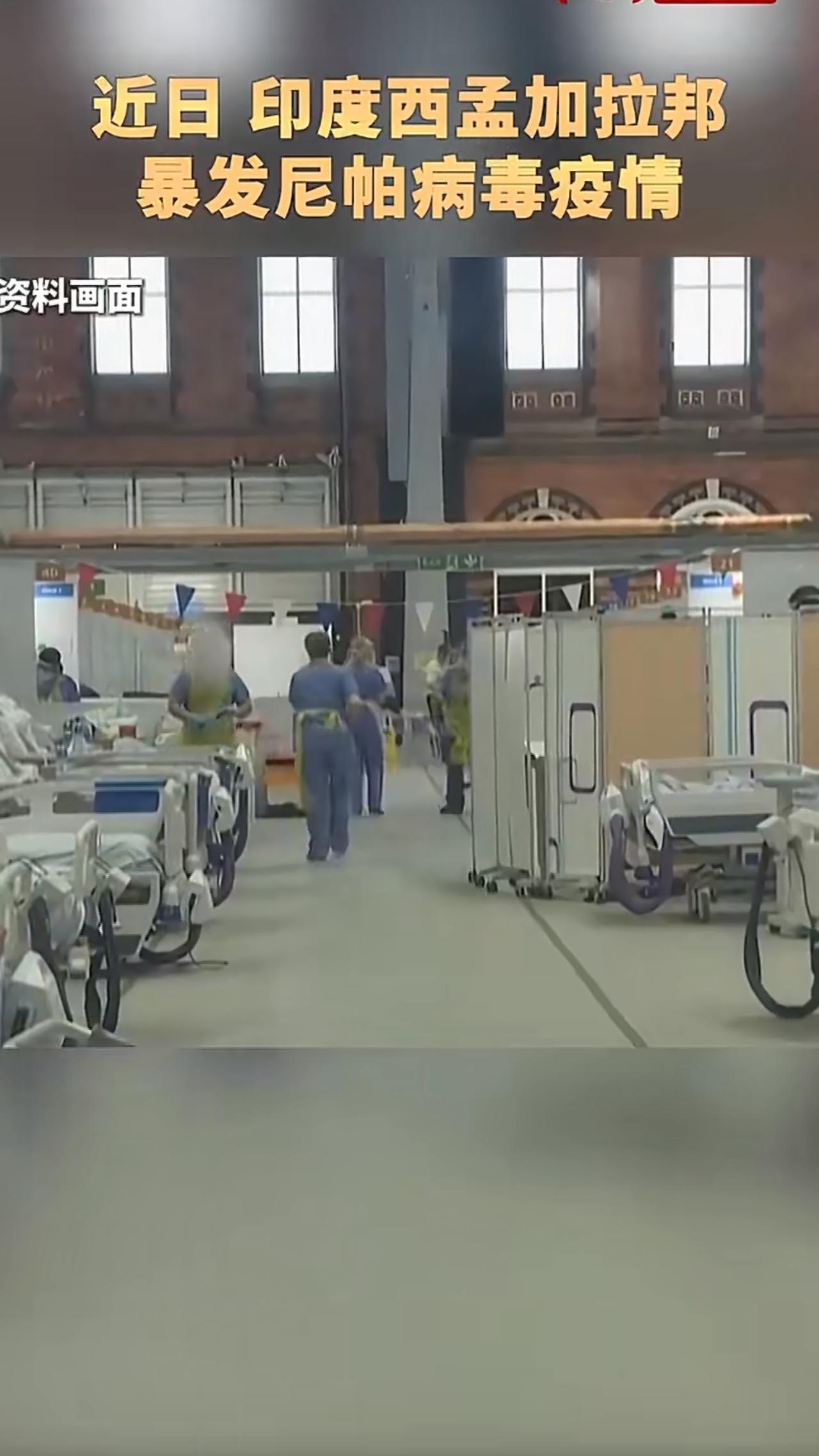 一种名叫尼帕的病毒成了大家关注的焦点，据说感染后的死亡率能超过40%，这数字听着