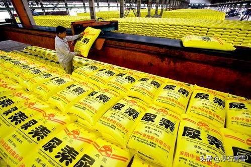 中国宣布恢复化肥出口配额，印度表示250万尿素已经到手不稀罕！据路透社5月27