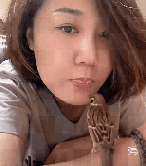放开那只小鸟，让我来