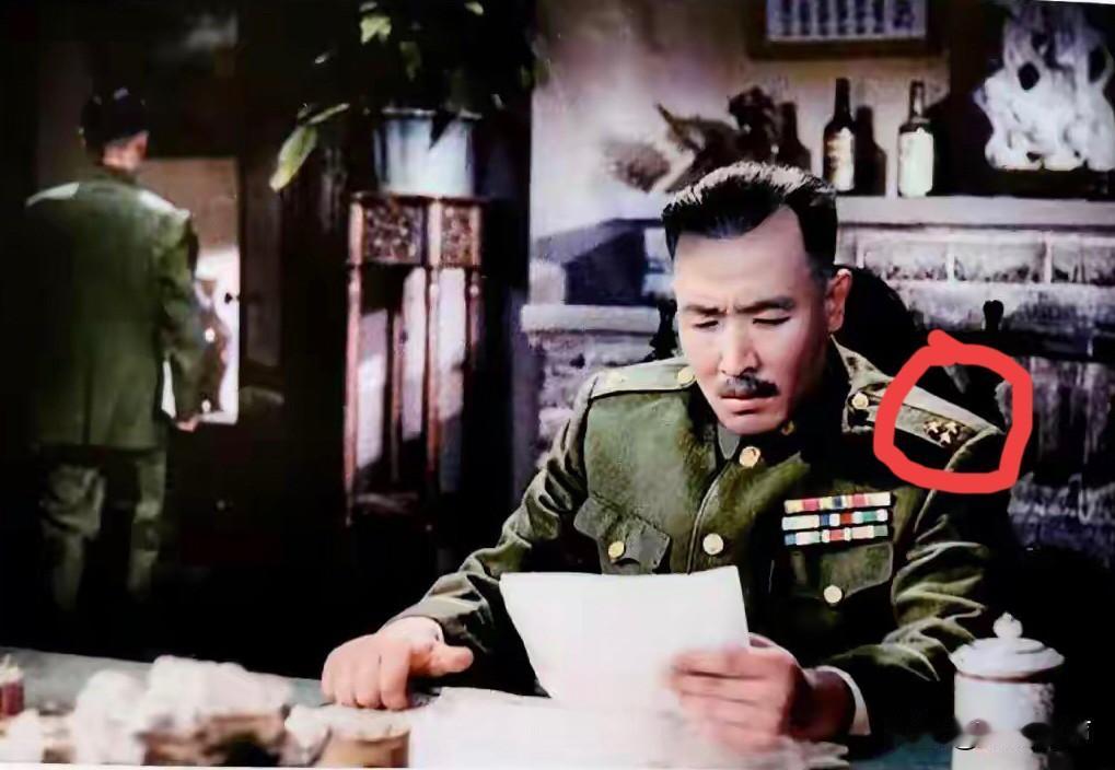 肩章3颗金星。应该是国军的战区副司令长官，集团军总司令，兵团司令，绥靖