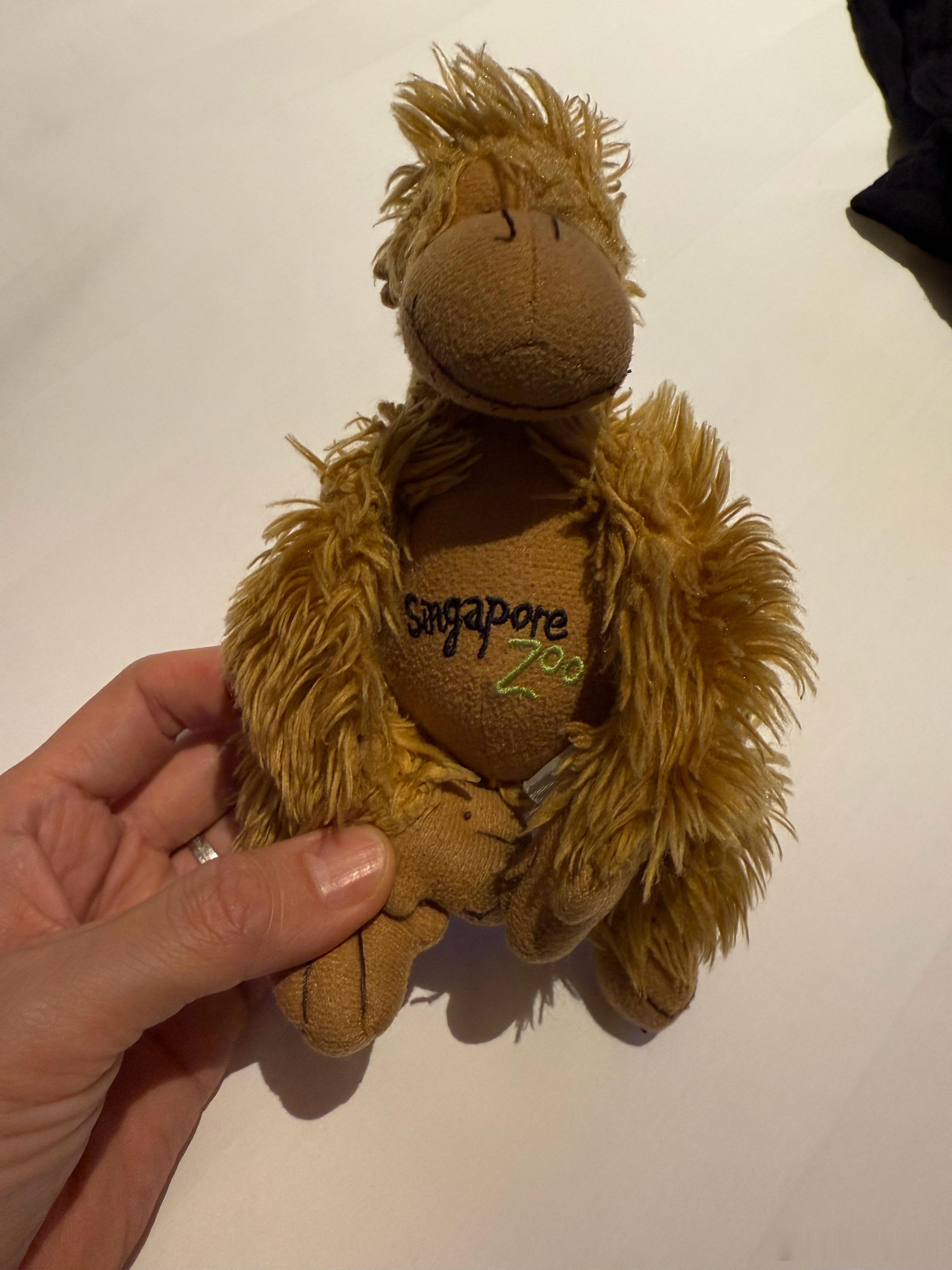 小朋友的这个玛喽，是她19年在新加坡动物园买的，回去之后陪着她走南闯北，爱不释手