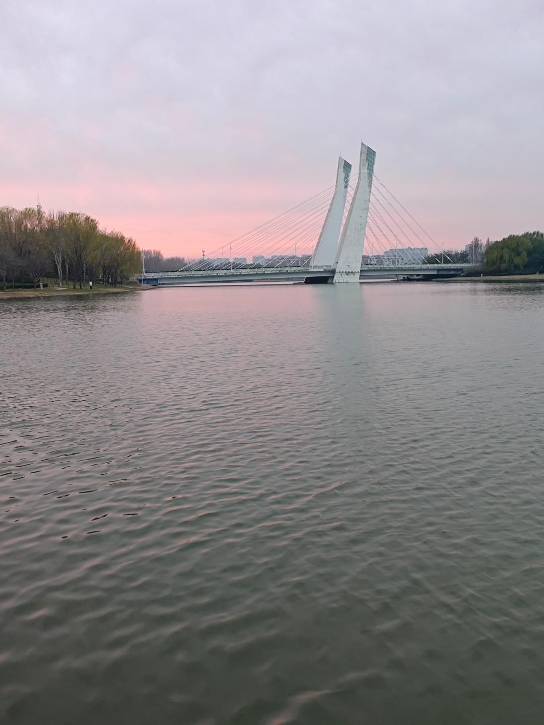 人与人之间的差别怎么这么大今天早上跑步，走到家属院楼下垃圾桶旁边，看见一