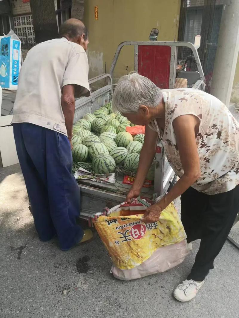 买西瓜偶遇一幕破防！50岁夫妻凌晨摘瓜，不敢花扫码的钱逛早市买西瓜，五花八